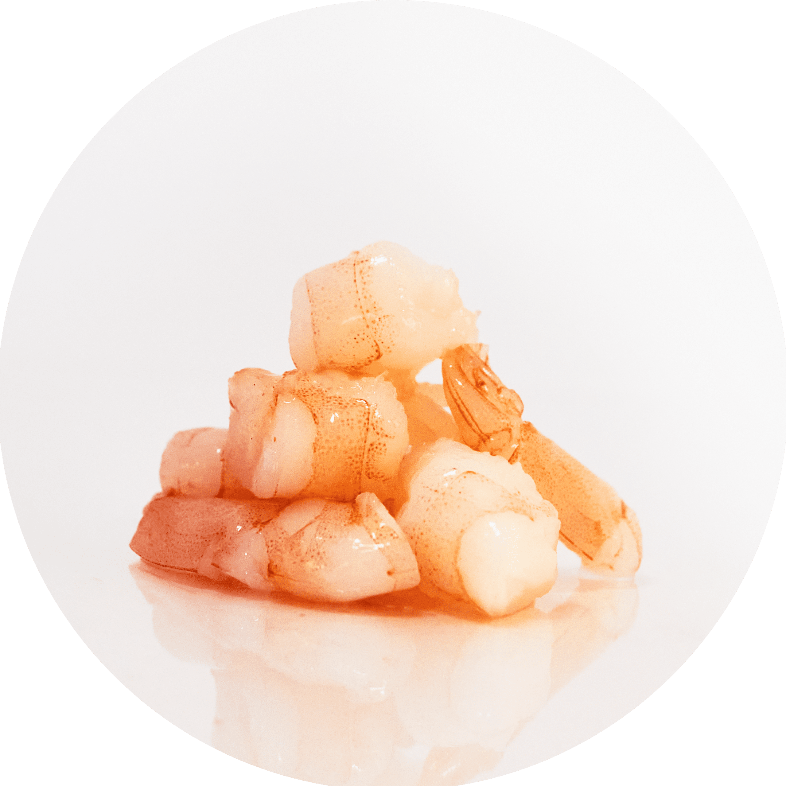 Tiger Prawns